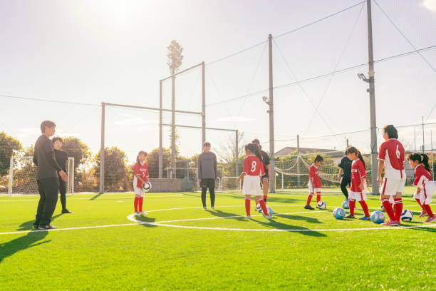 虽曾在法甲 虽曾在法甲